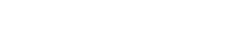 Black Stone Investments